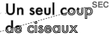 Un seul coup de ciseaux pour couper n’importe quelle forme polygonale. Un seul coup de ciseaux (secondaire)